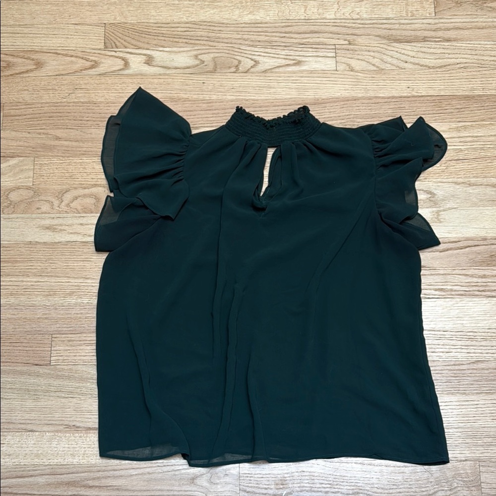 Sheer green top flutter sleeves